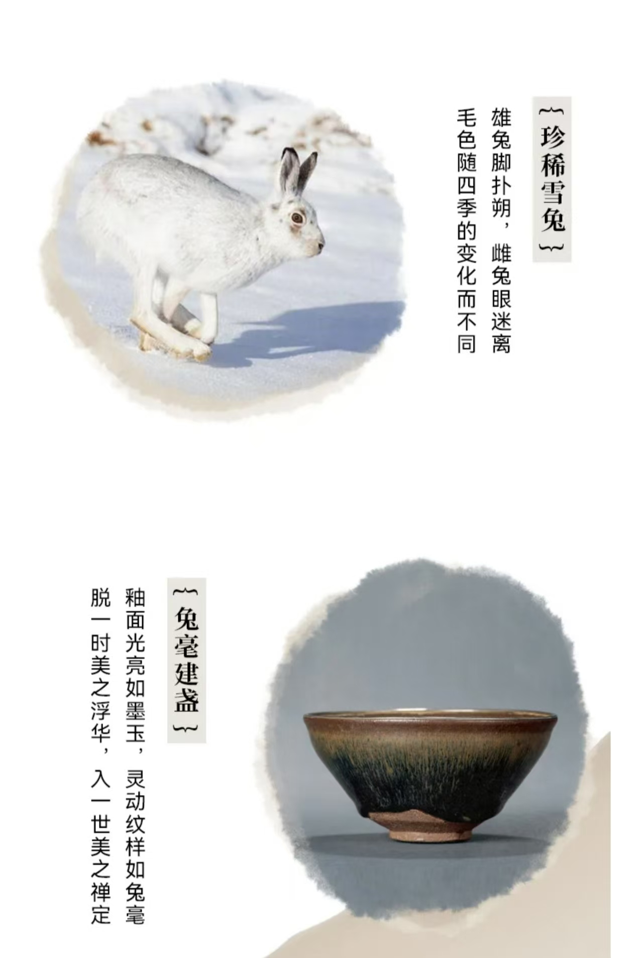 69f015e18aa23e2a5ac220ca9213c2be.png