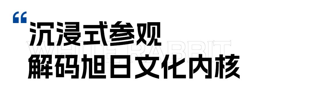 cb5d4b4e927c135b7f277dc2adff3282.jpg